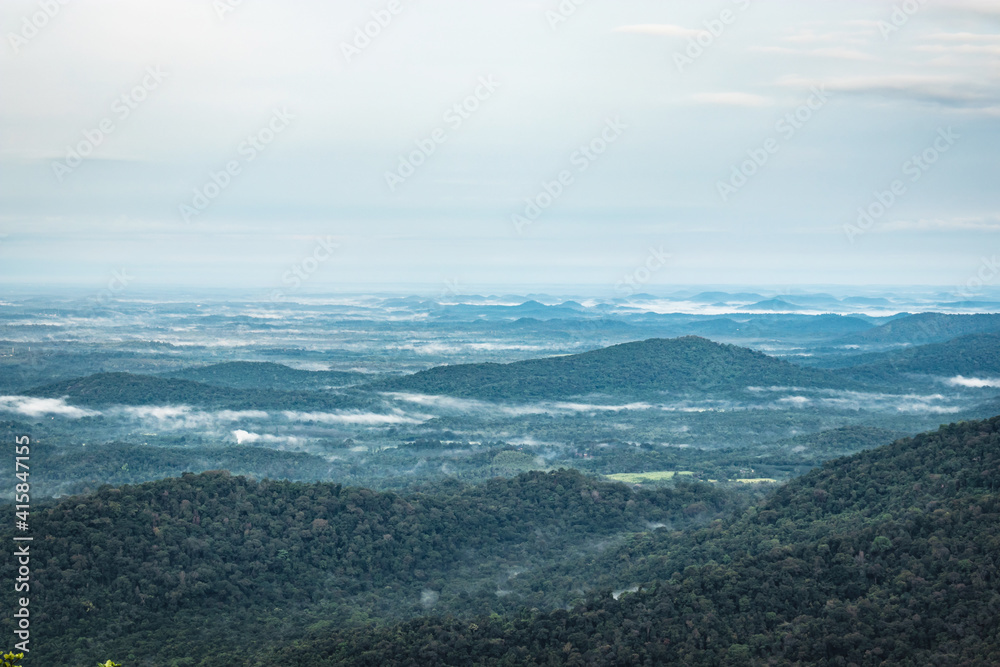 Fototapeta premium mountain coverd with white mists and dense forests