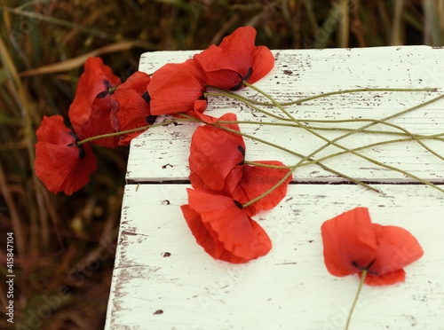 Beautiful poppy flower is on the grunge obsolete wooden background with copy space photo