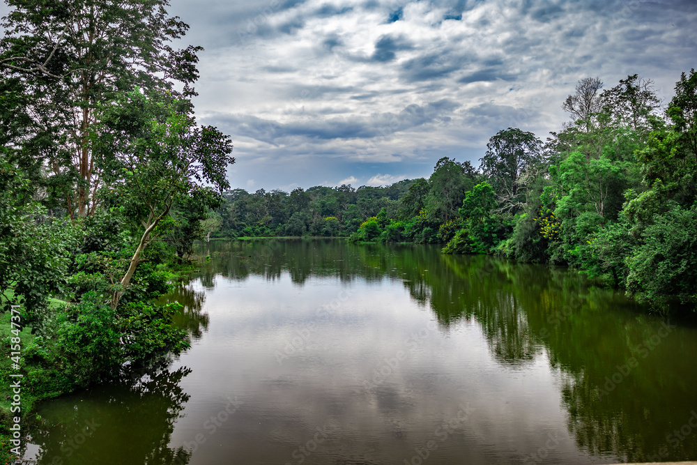 river surrounded by lush green forest with white dramatic cloud