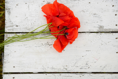 Beautiful poppy flower is on the grunge obsolete wooden background with copy space