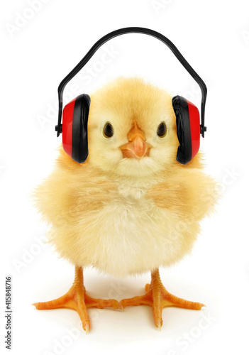 Canvas Print Cute chick with headphones conceptual photo