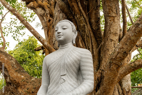 Kamienny posąg statua Buddy na tle drzewa w buddyjskiej świątyni.
