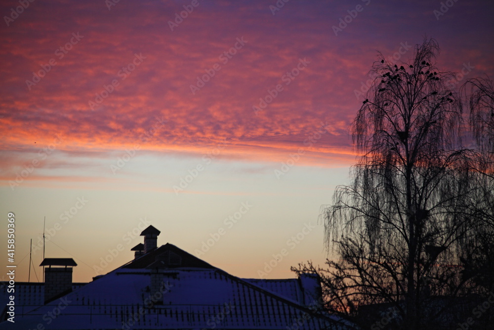 Bare tree and old city roof top silhouette on dark sky with dramatic pink clouds stripe background on cold winter sunrise beautiful European natural landscape