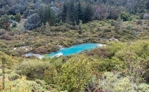 Lac volcanique à Whakarewarewa, Nouvelle Zélande photo