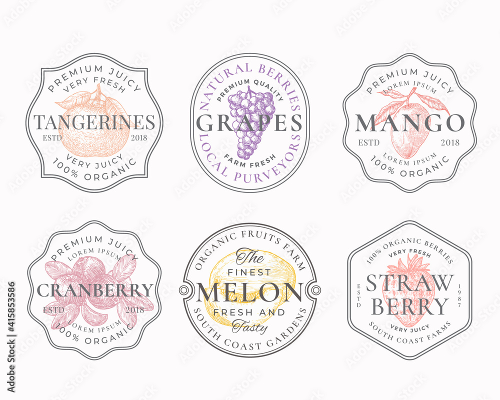 Fruits and Berries Frame Badges or Logo Templates Collection. Hand Drawn Tangerine, Mango, Grapes, Melon and Strawberry Sketches with Typography and Borders. Vintage Premium Emblems Set. Isolated
