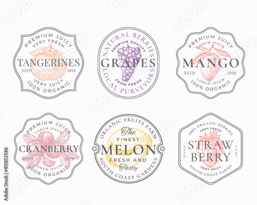 Fruits and Berries Frame Badges or Logo Templates Collection. Hand Drawn Tangerine, Mango, Grapes, Melon and Strawberry Sketches with Typography and Borders. Vintage Premium Emblems Set. Isolated