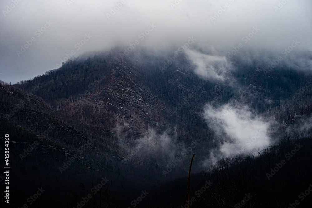 Fototapeta premium Foggy Mountain