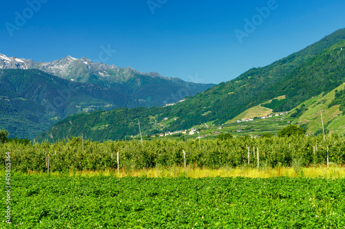Vineyards and orchards along the Sentiero della Valtellina, Italy, from the cycleway