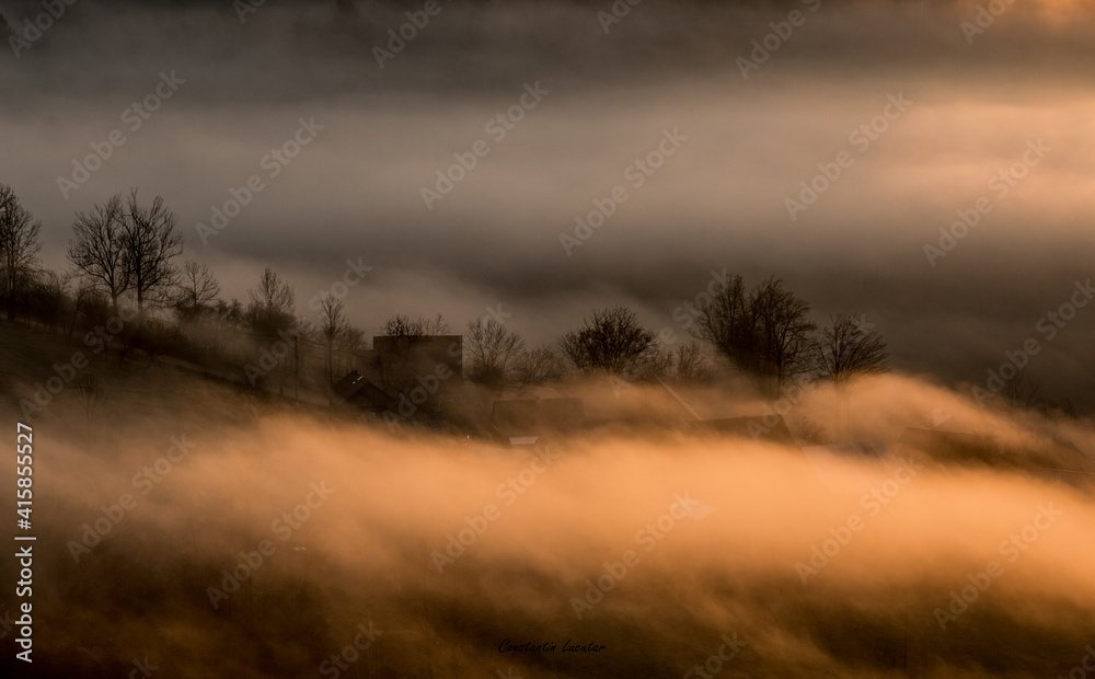 Fototapeta premium fog in the forest