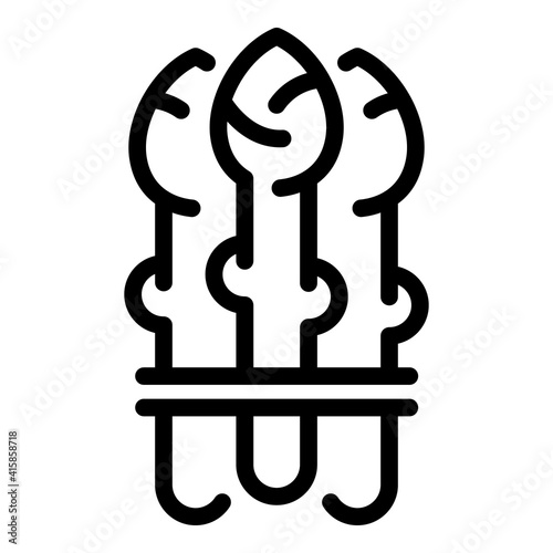 Asparagus plant icon. Outline asparagus plant vector icon for web design isolated on white background