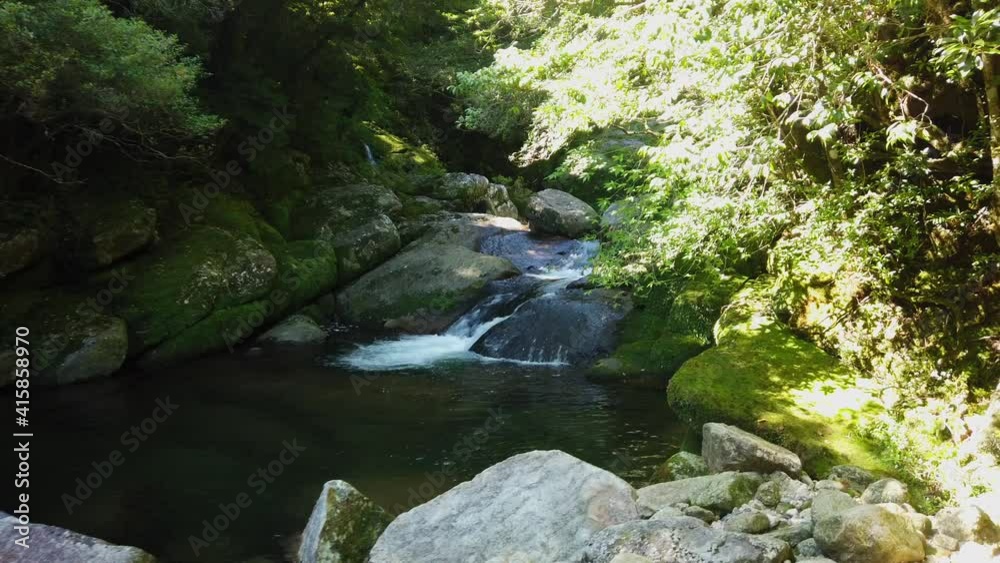 屋久島 白谷雲水峡 太鼓岩 屋久杉 国立公園 鹿児島
