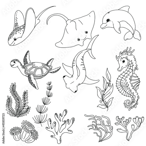 Set of Marine Animals and Algae. Water grass and corals. Freehand coloring book. Vector illustration isolated on white background