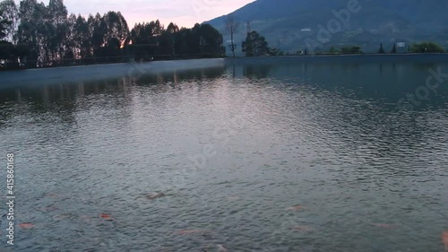 Embung Kledung is a tourist destination in Temanggung, Indonesia. a fish pond containing koi with a background of Sindoro mountain. clear sunrise sky with reflection on the artificial lake photo