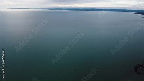 Aerial pan shot of flying birds on Lake Balaton and shore of Balatongolar City with rural landscape in Hungary.  photo