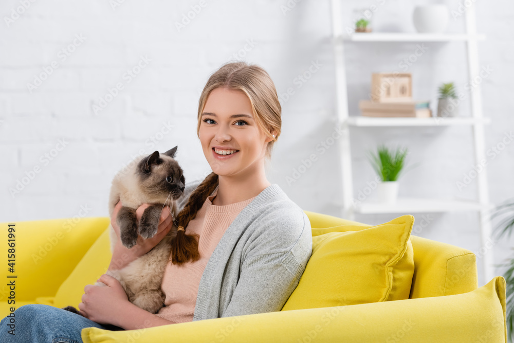 Happy woman holding furry siamese cat and looking at camera on yellow couch