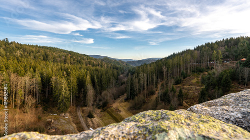 Schwarzwald landschaft