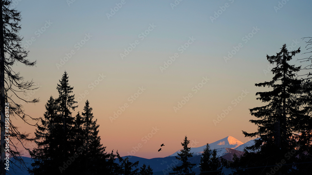 Sunset in the winter forest snow-capped mountains on the background of the silhouette of fir trees soft light