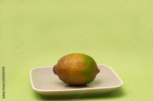 Rotten lime on green background. Wasting food concept