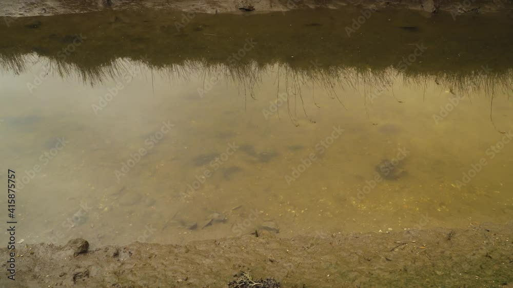 4K muddy river bed in a low tide with some water flowing down the river to the ocean. Ria de Aveiro in the estuary of the river Vouga. 4K muddy river bed in a low tide with some water flowing down the river to the ocean. Ria de Aveiro in the estuary of the river Vouga.