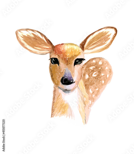 Hand drawn watercolor colorful illustration of brown fawn isolated on white background. © Anna