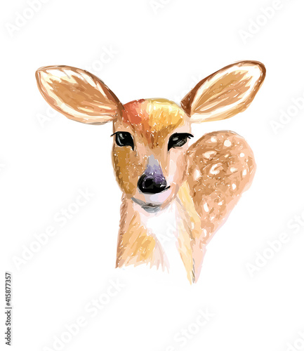 Hand drawn watercolor colorful illustration of brown fawn isolated on white background.