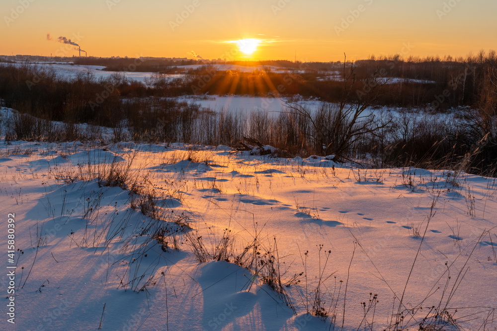 Colorful snow with animal footprints illuminated by the sunset. A view of the snow-covered area with dry grass, trees and bushes. Winter evening landscape with sunset
