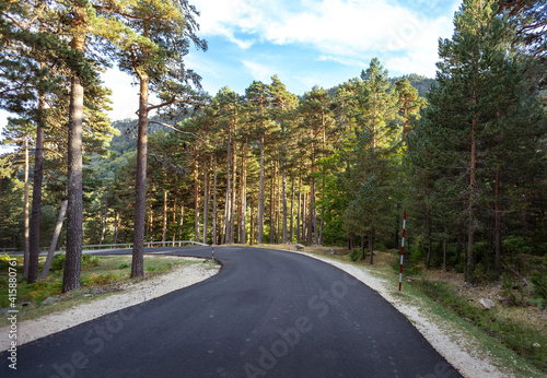 Empty asphalt road amidst trees in forest. Natural park of the Black Lagoon and the Glacial Circus of Urbión, Castilla y Leon, Spain photo