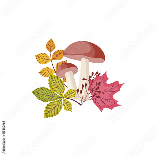Two forest edible mushrooms boletus with fallen autumn leaves.