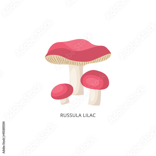Russula lilac mushroom with typical signs, flat vector illustration isolated.