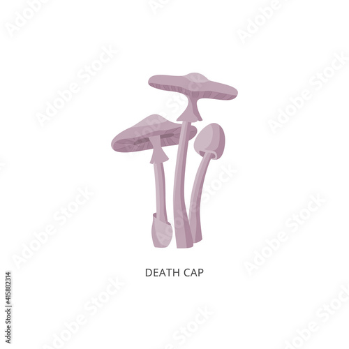 Card with death cap inedible mushrooms flat vector illustration isolated.