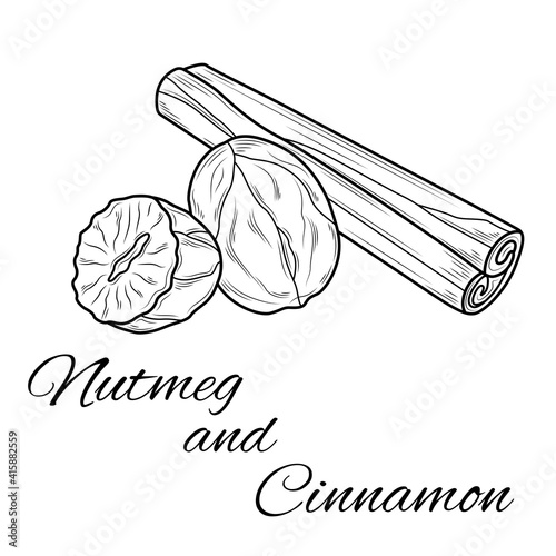 Nutmeg and cinnamon.Coloring. Illustration isolated on white background.Zen-tangle style.