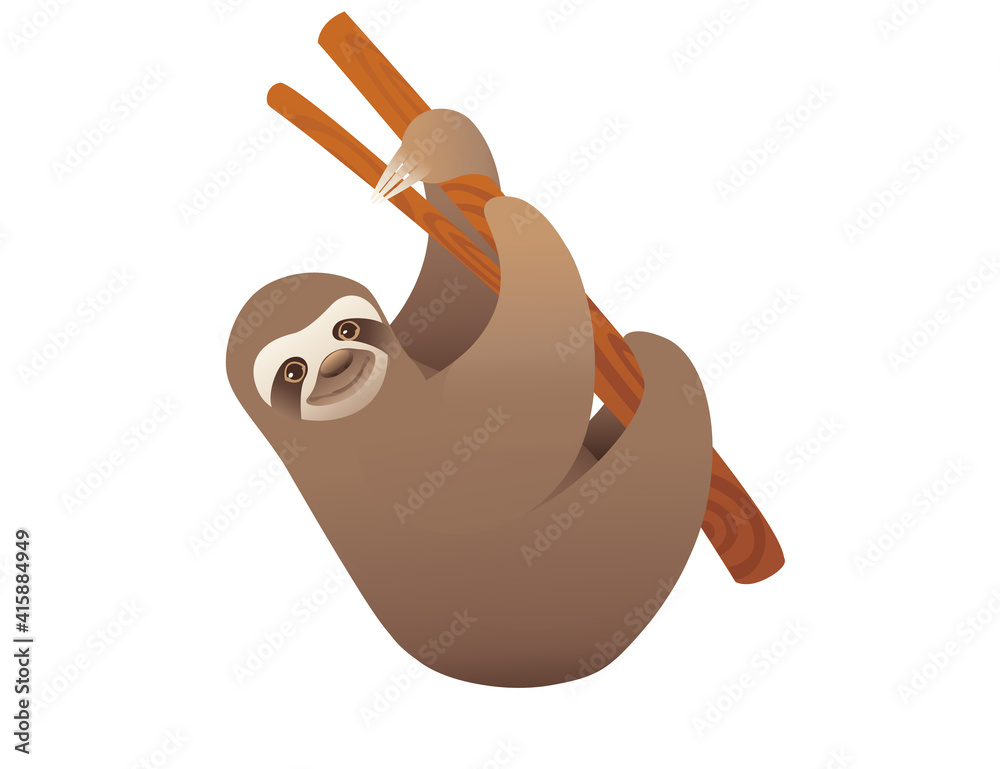 Fototapeta premium Sloth hanging on a branch cartoon animal design vector illustration on white background