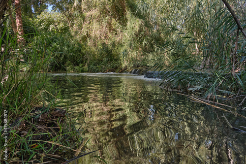 a small cascade of water in the forest