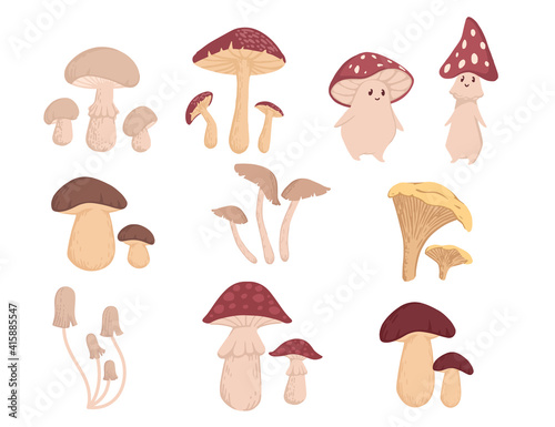 Set of different types of poisonous and edible forest mushrooms vector illustration on white background
