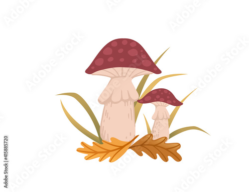 Red dotted poison mushrooms growth in forest with yellow leaves vector illustration