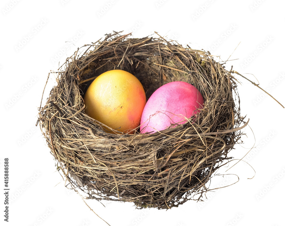 nest with decorated easter eggs on a white background nest with decorated easter eggs on a white background