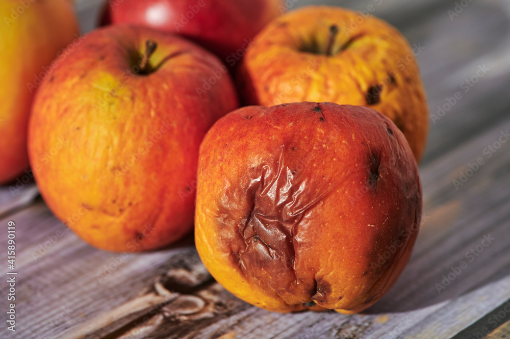 Apples lit from the sun decoratively lying on a wooden underground. Apples lit from the sun decoratively lying on a wooden underground.
