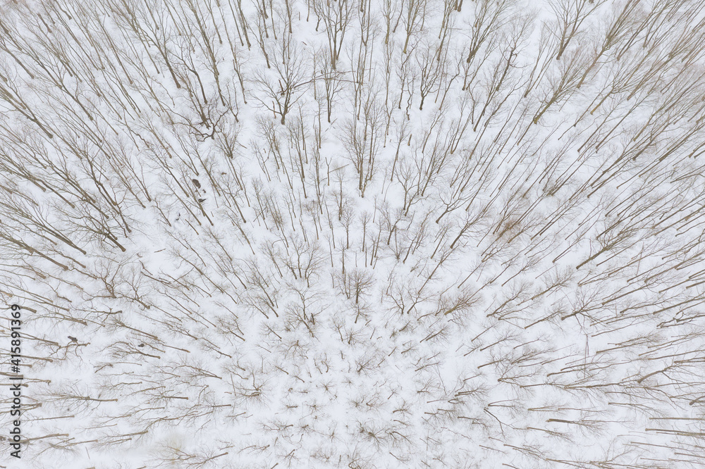 Fototapeta premium Aerial of Snow Covered Plainsboro Homes Farmland