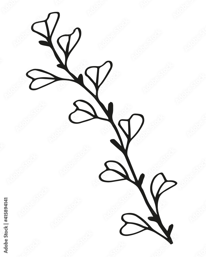 black and white, linear drawing of a branch with leaves, berries, buds, ornamental plant, stylized vector graphics black and white, linear drawing of a branch with leaves, berries, buds, ornamental plant, stylized vector graphics