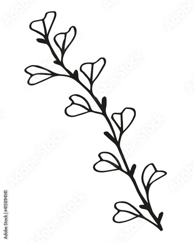 black and white  linear drawing of a branch with leaves  berries  buds  ornamental plant  stylized vector graphics