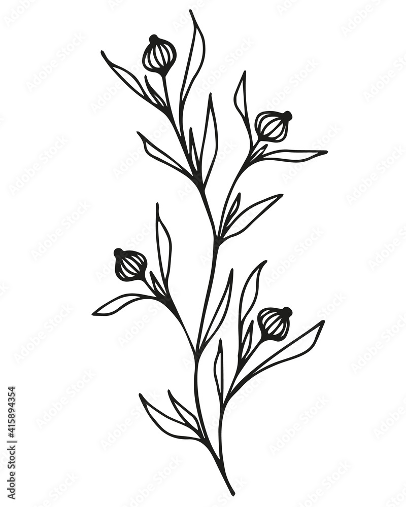 black and white, linear drawing of a branch with leaves, berries, buds, ornamental plant, stylized vector graphics