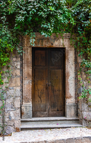 Very old cracked wooden door with a stone frame and a creeper on the wall