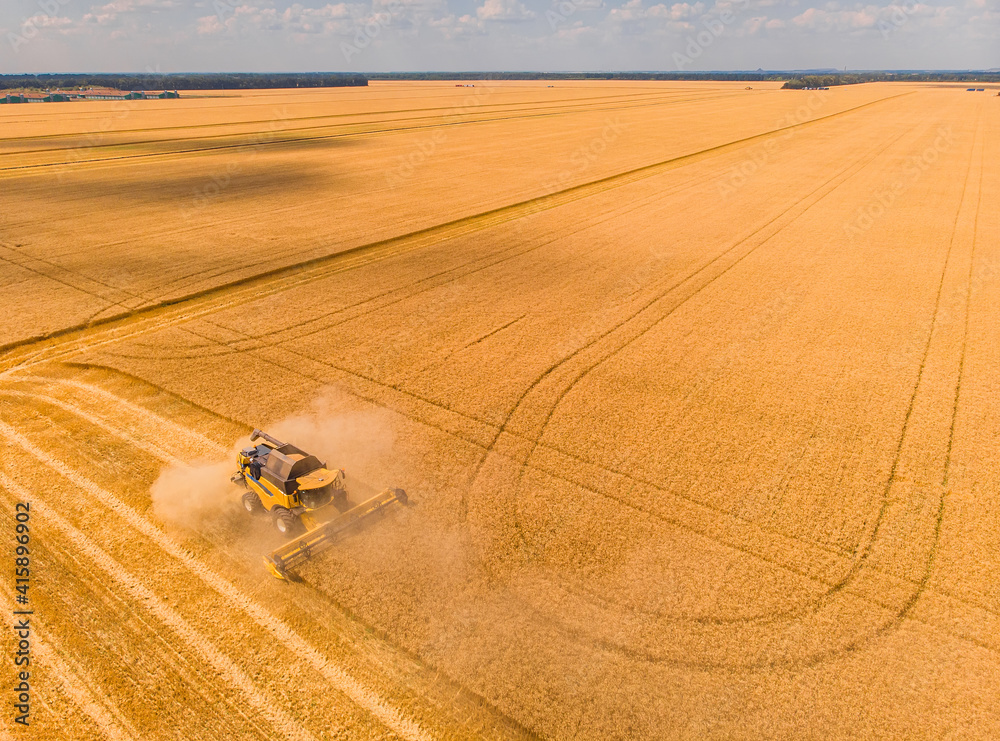 Obraz premium Combine harvester on the field of wheat. Perfect summer view from flying drone of harvesting wheat on sunset.