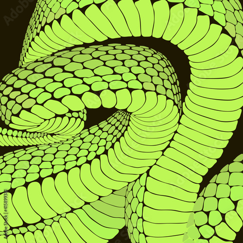 decorative vector texture of twisted green poisonous snake