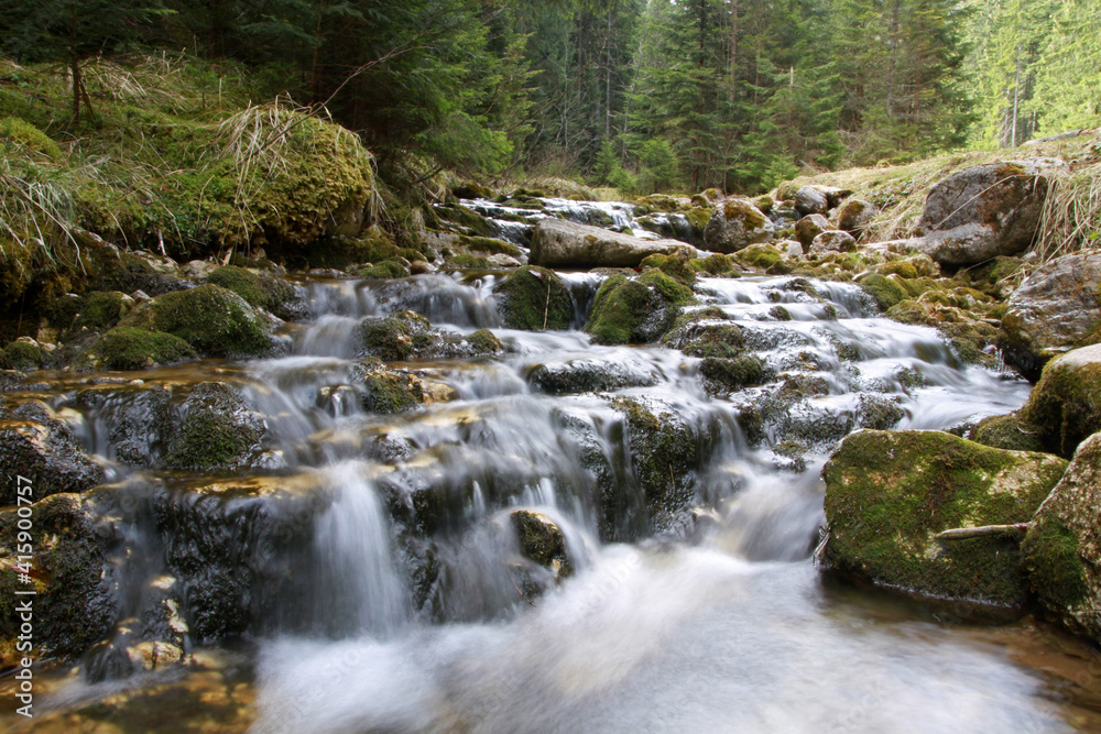 Stream in Chocholowska valley, Tatra Mountains, Poland
