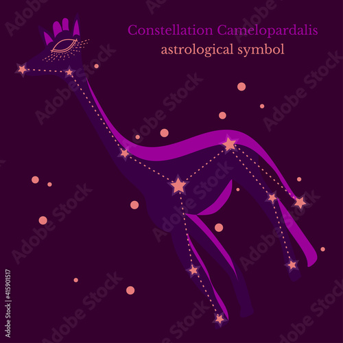 Abstract illustration of constellation Camelopardalis, connection of stars in sky, star map. Astrological symbol on dark purple background. Vector illustration for cart tarot design, social groups.