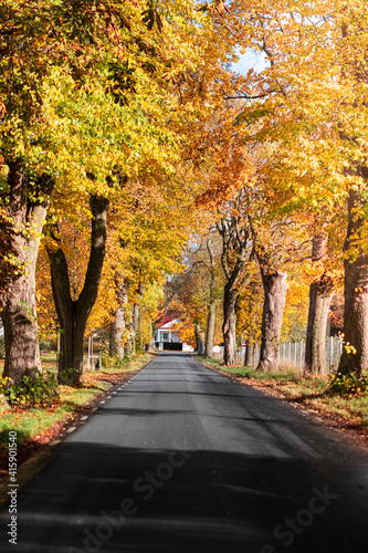 autumn in the park