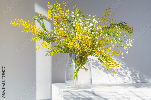 Acacia dealbata, silver wattle or yellow mimosa flower with white gypsophila in glass vase on white home interior. Authentic photo. Women's day, mother's day. Spring time. Hard shadows