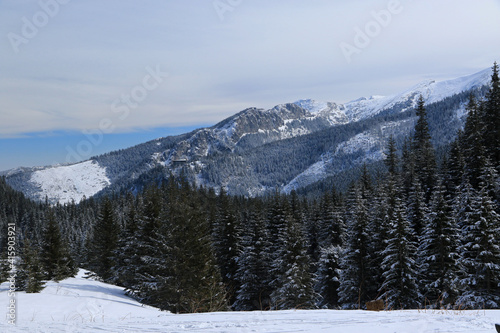Fototapeta Naklejka Na Ścianę i Meble -  Hala Kondratowa in Tatra Mountains, Poland