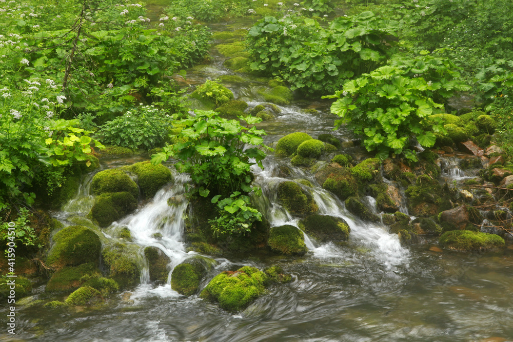 Stream in Koscieliska valley, Tatra Mountains, Poland Stream in Koscieliska valley, Tatra Mountains, Poland